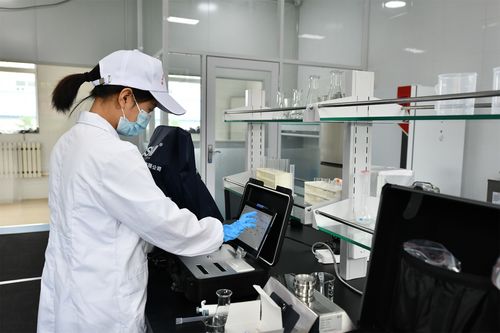 朵朵黑木耳串起创新产业链 防疫健康包助农惠民两相宜